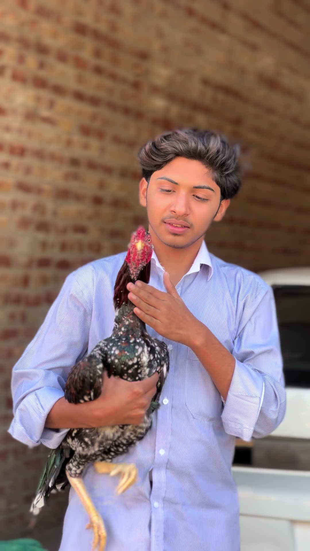 @Aseel 🐓