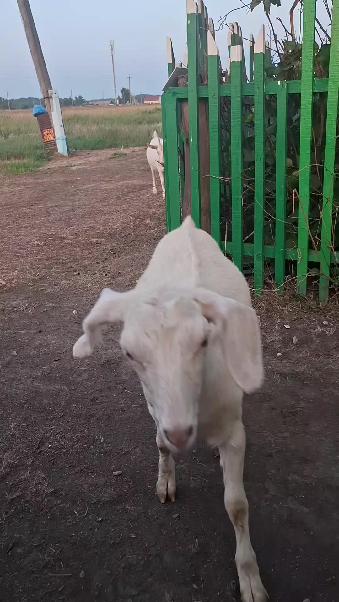 @Анастасия Корчагина