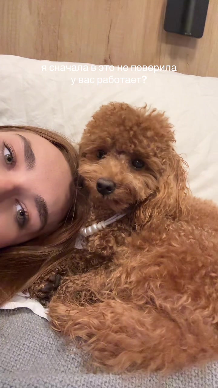 @beatrice_poodle
