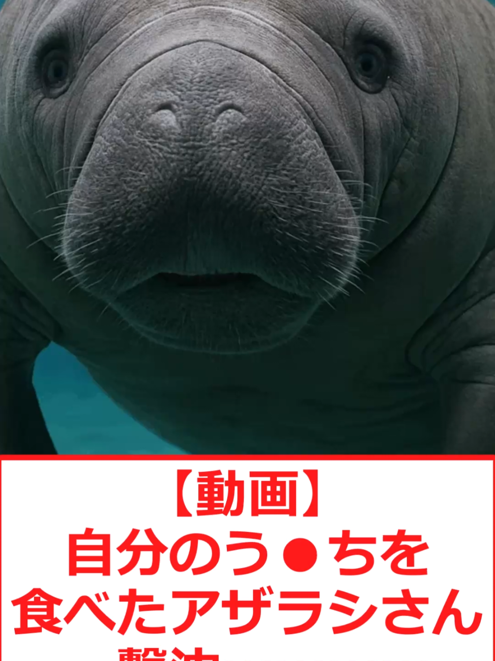 @なんG保管庫【5ch反応まとめ】