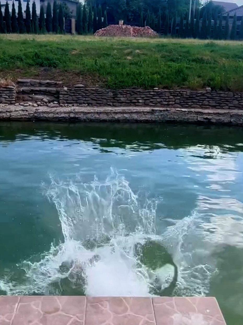 @ЛЯЩ 🦈