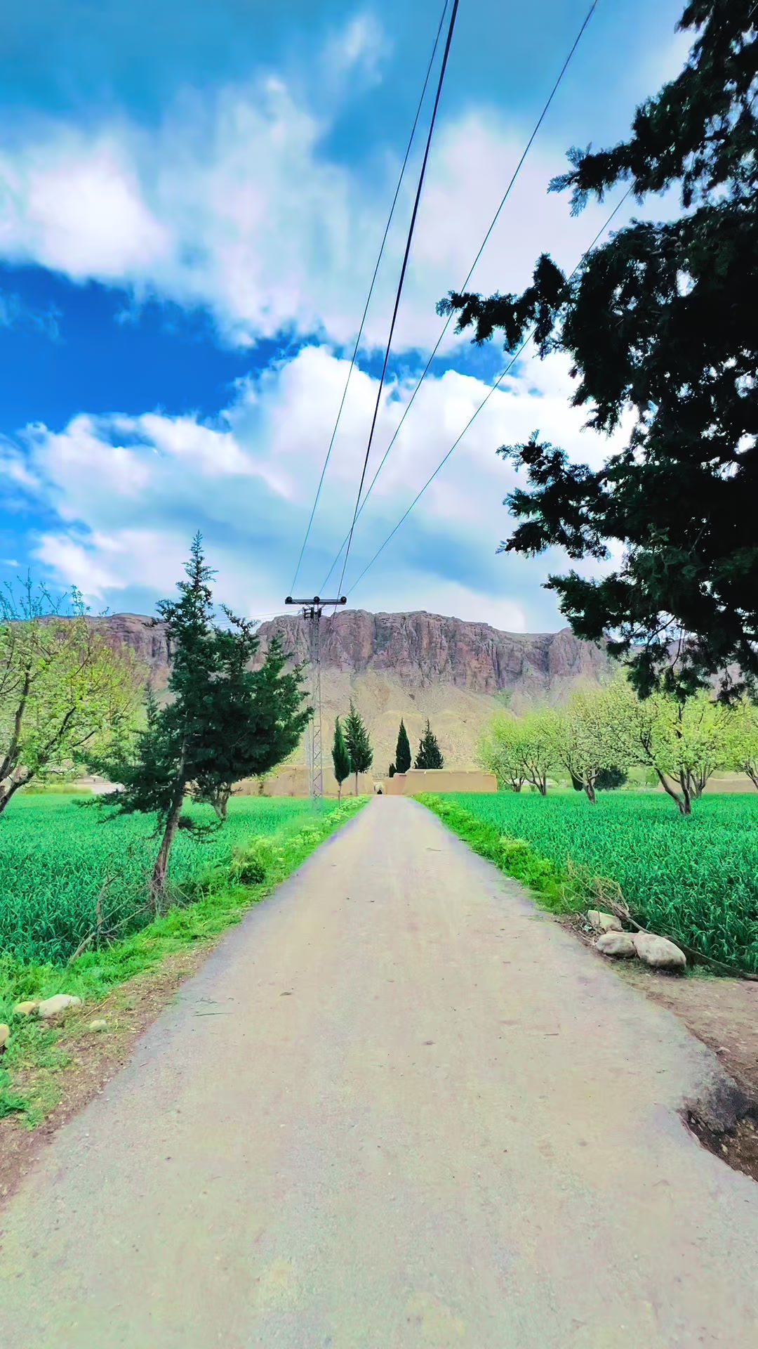@shahista.sinjawi.0