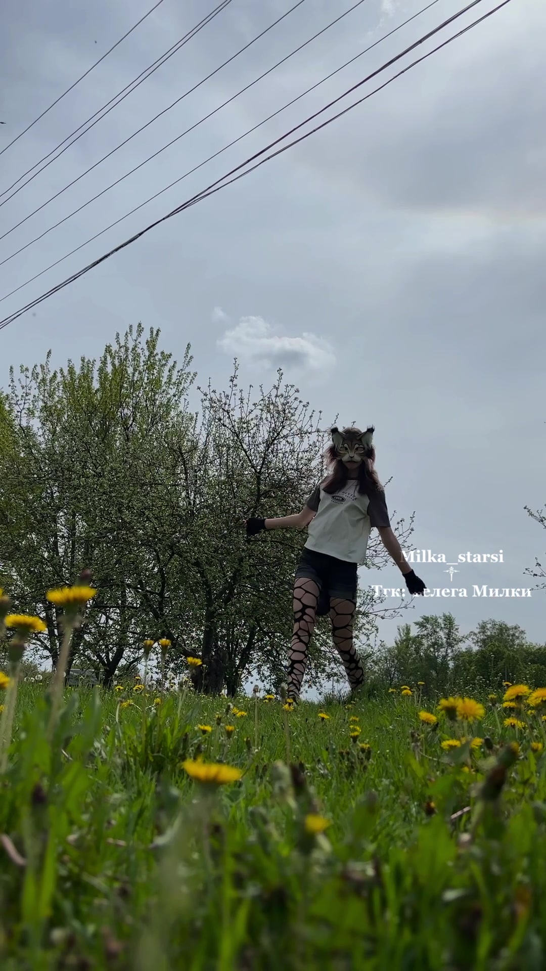 @🌱 𝓜𝓲𝓵𝓴𝓪_𝓢𝓽𝓪𝓻𝓼𝓲 ✰