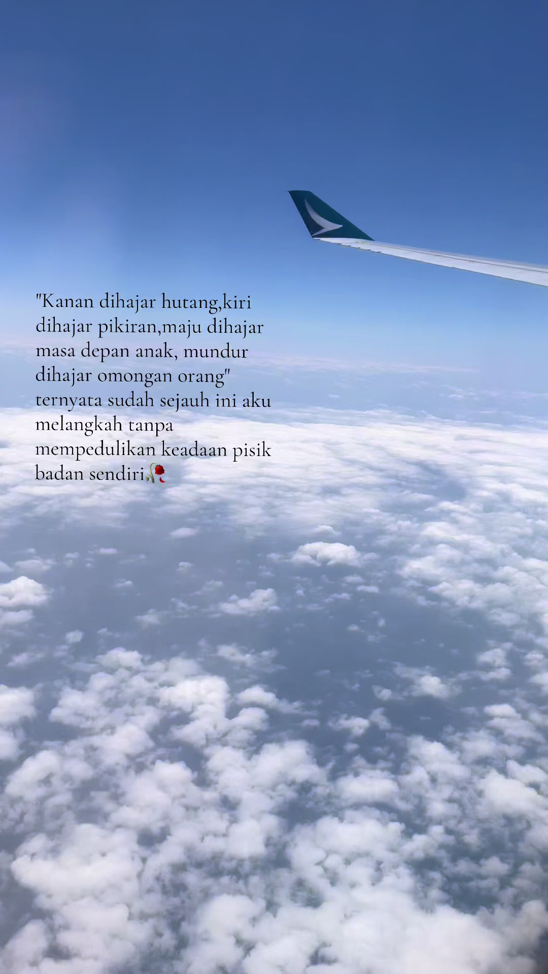 @🌺🌹Mawar