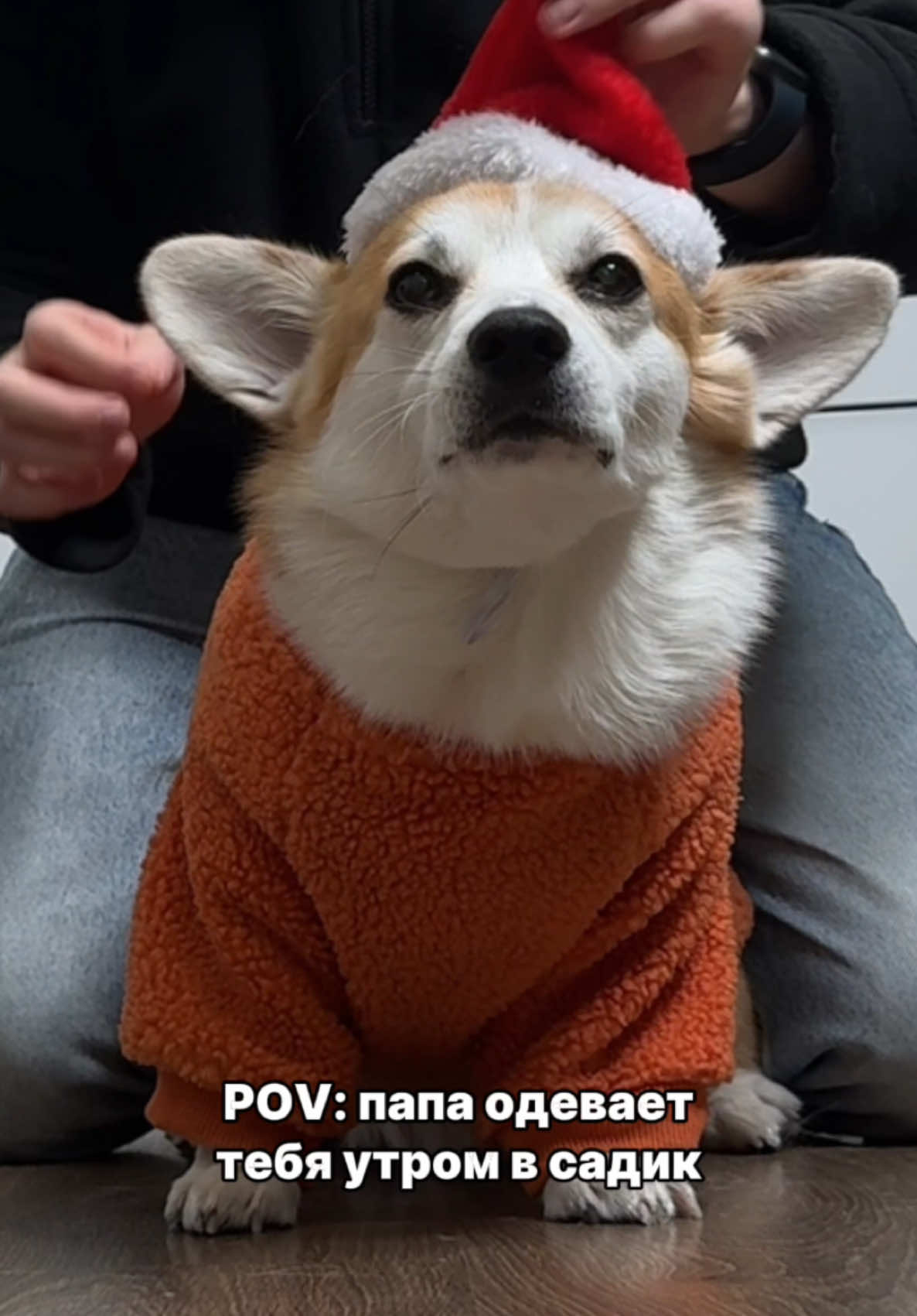 @Денис Милюков
