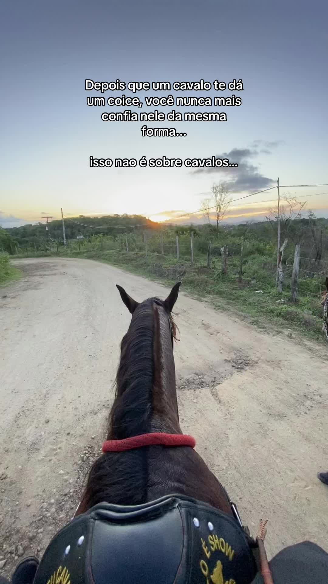 @João Freitas
