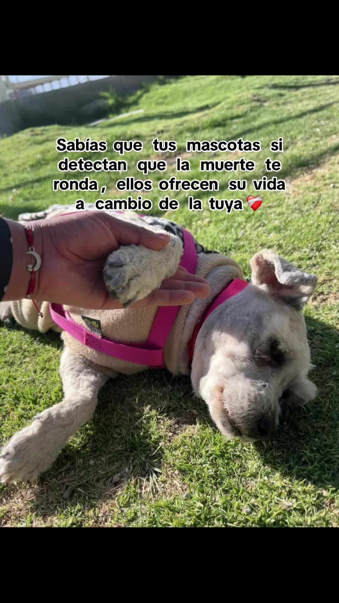 @Miranda❤️