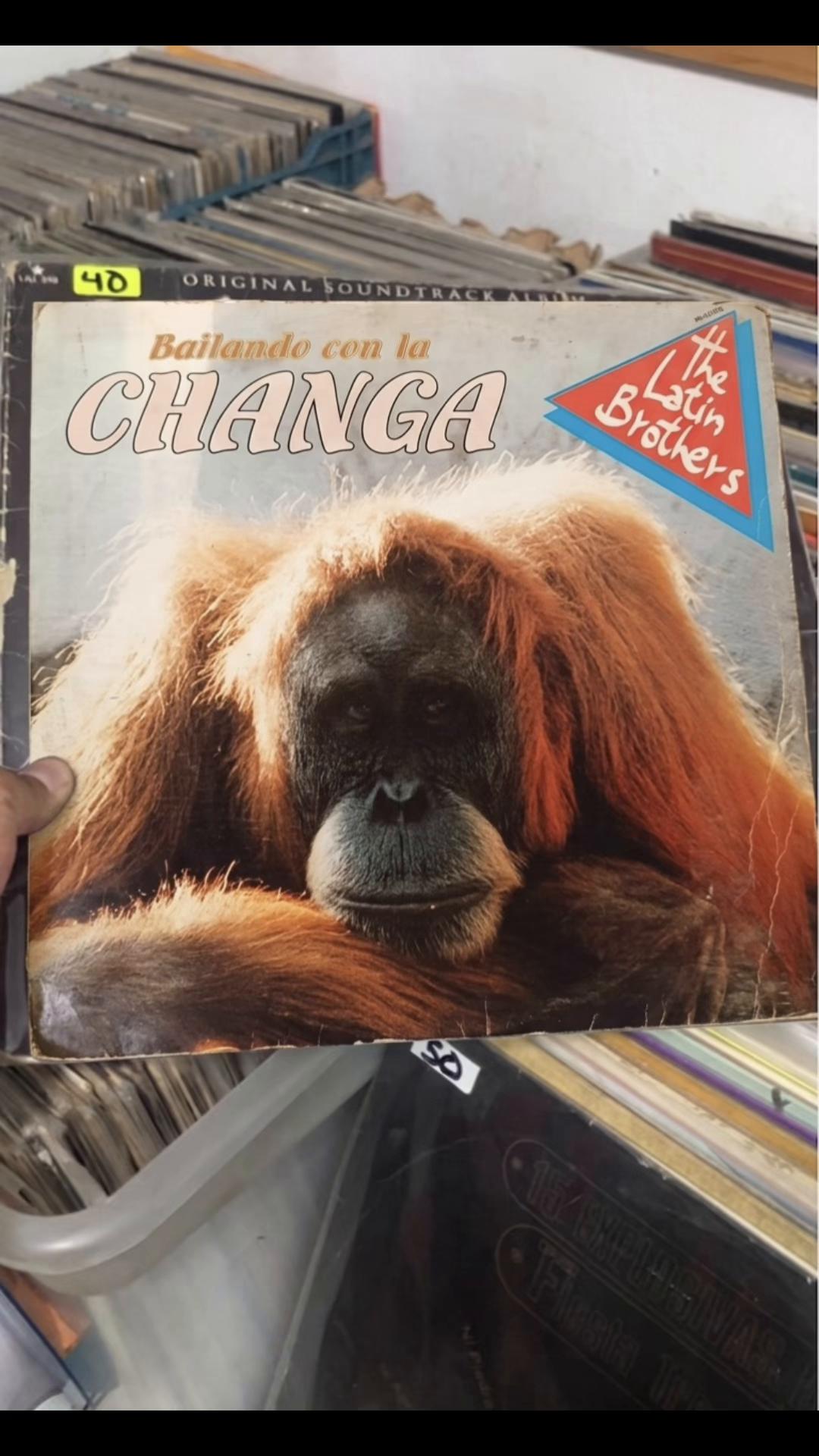 @Discos Vinil Reyes