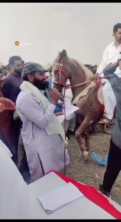 @👑چوہدری 👑