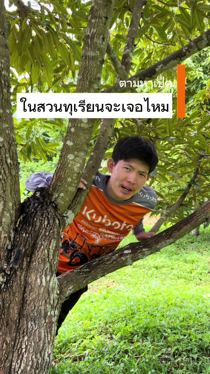 @ตั้นตะลุย (508k)