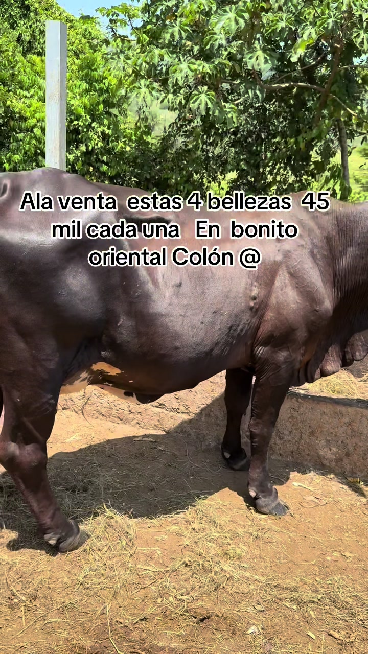 @Rancho.la Gloria… PB