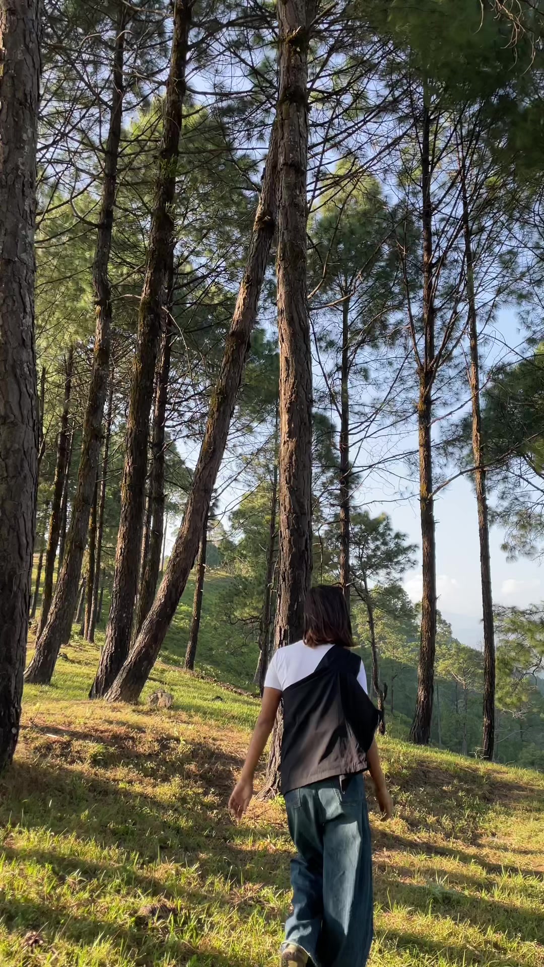 @SANSKRITI😎