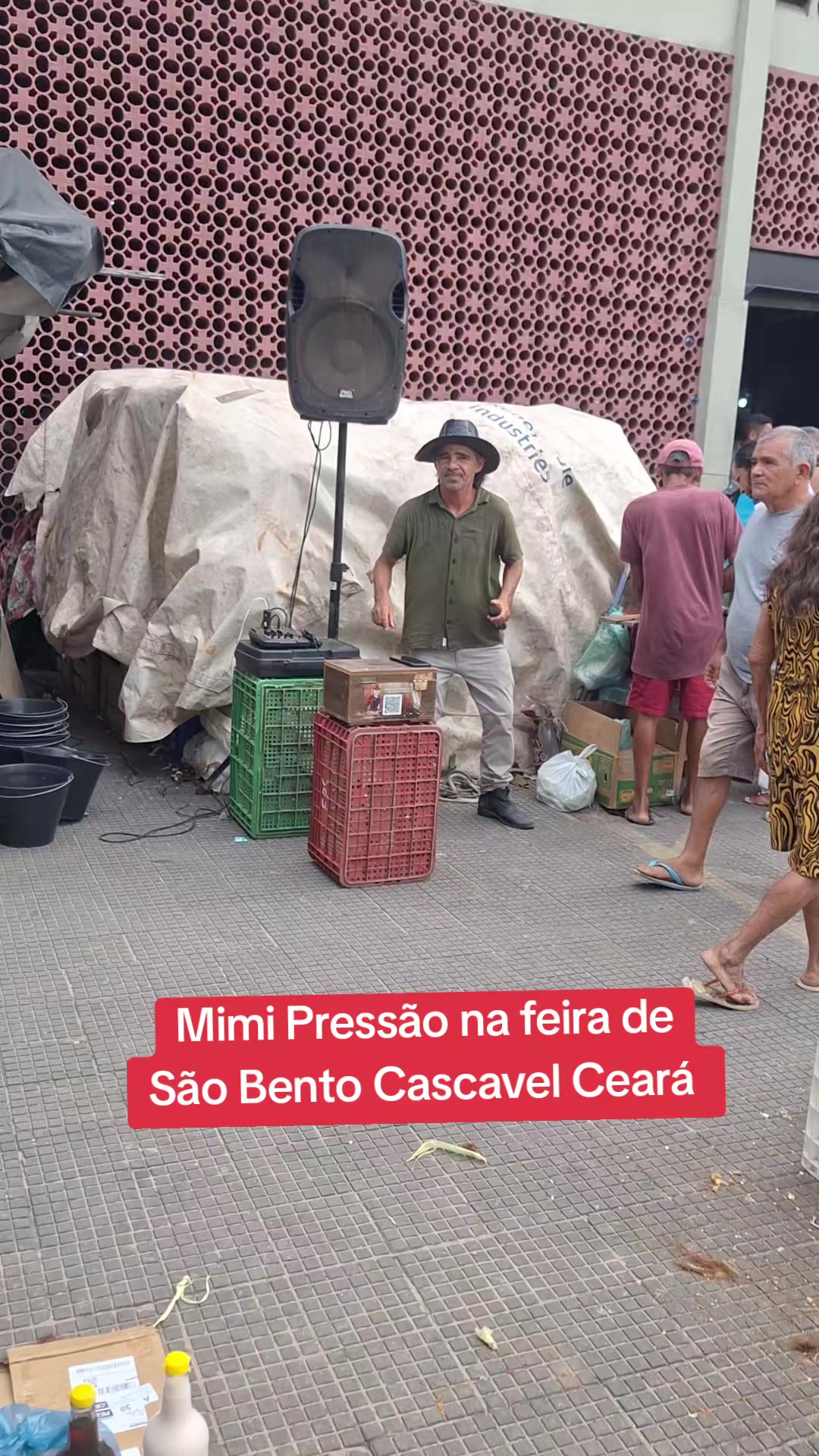 @Adailo Pinheiro