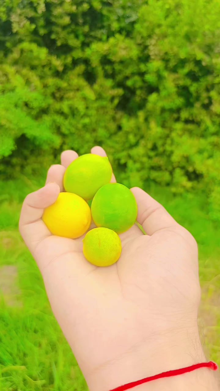 @MÖȞŚÄŅ ÄĻŸ ĐÄȞŖÏ
