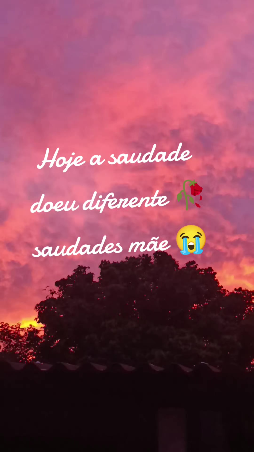 @Juliana Caruso