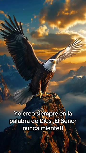@Dee Enloe oficial