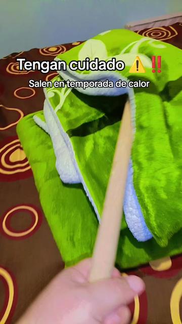 @Slifer Mtz
