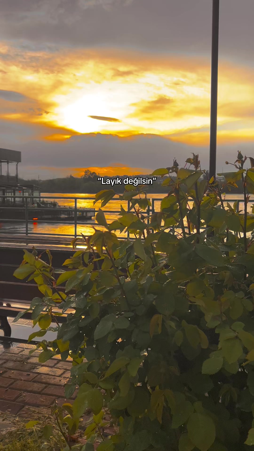@𝑩𝒆𝒔̧𝒊𝒓 𝑲𝒐𝒓𝒌𝒎𝒂𝒛🍂