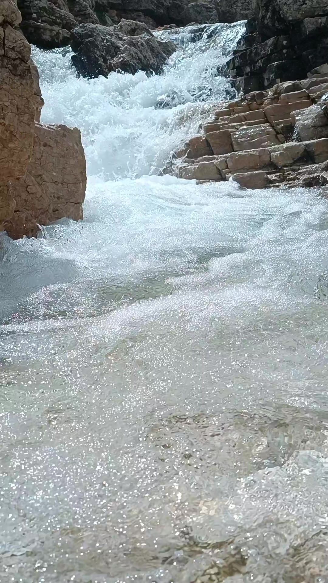@DAĞCI.46