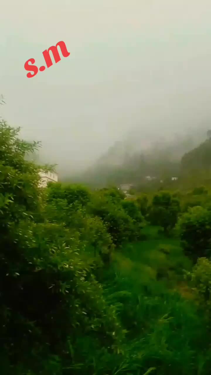@🅂🄰🅈🄰🄼 بونیری 🇴🇲.#🅁#🄼