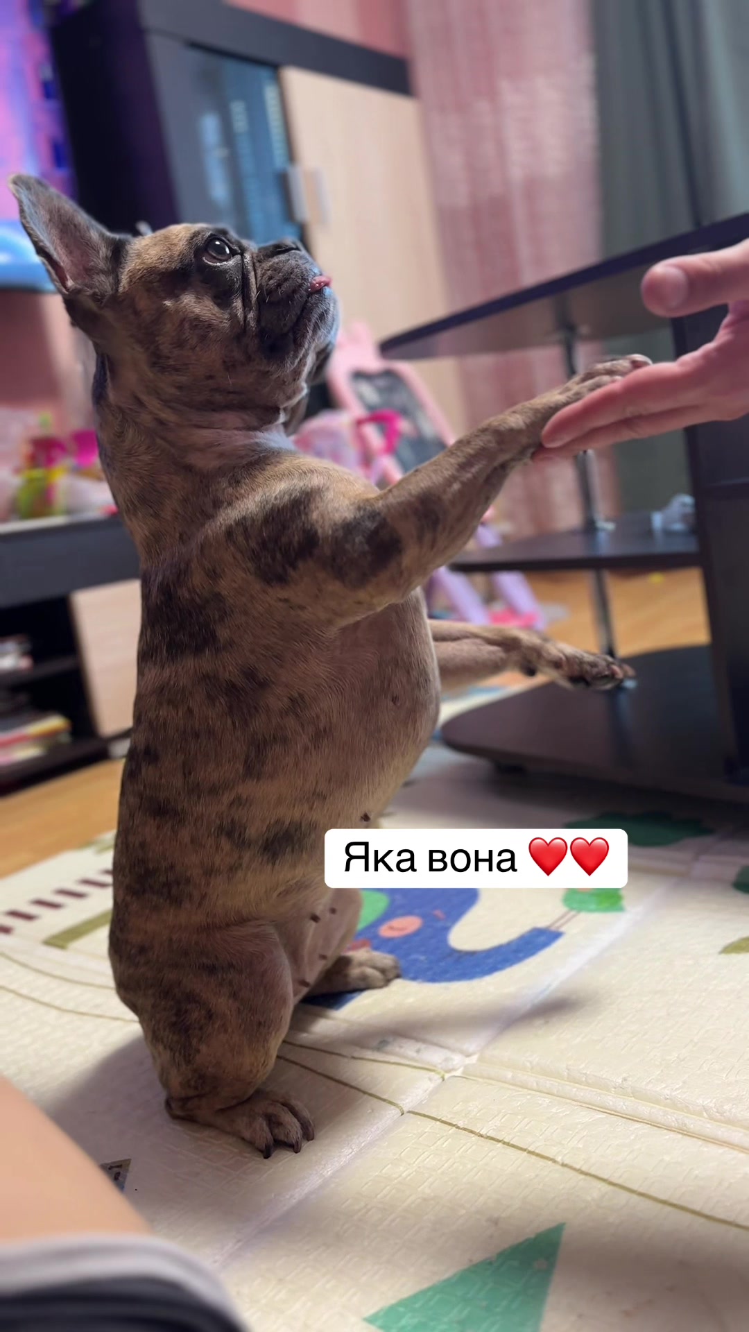 @Маруся Андріївна