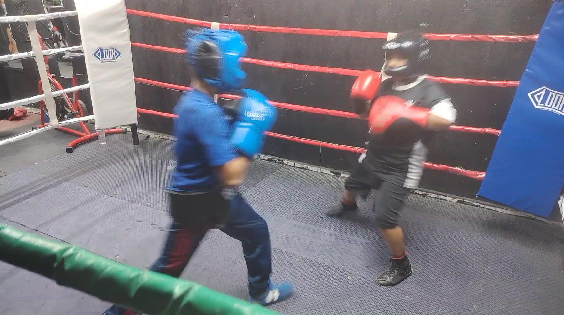 @Carreras Boxing Master