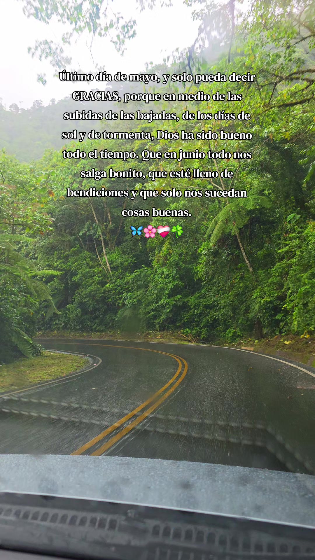@Lucero Briggith 🌸💗