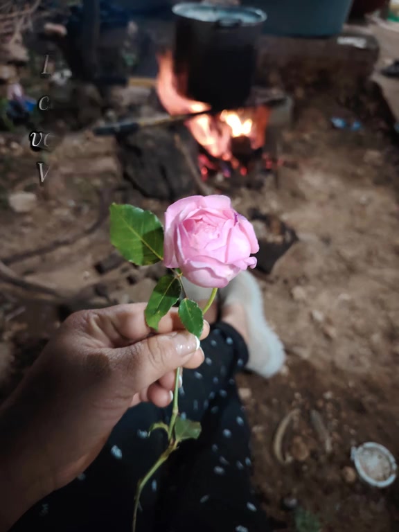 @💕𝑷𝒂𝒐𝒍𝒂 𝑮𝒂𝒍𝒊𝒏𝒅𝒐 🎭