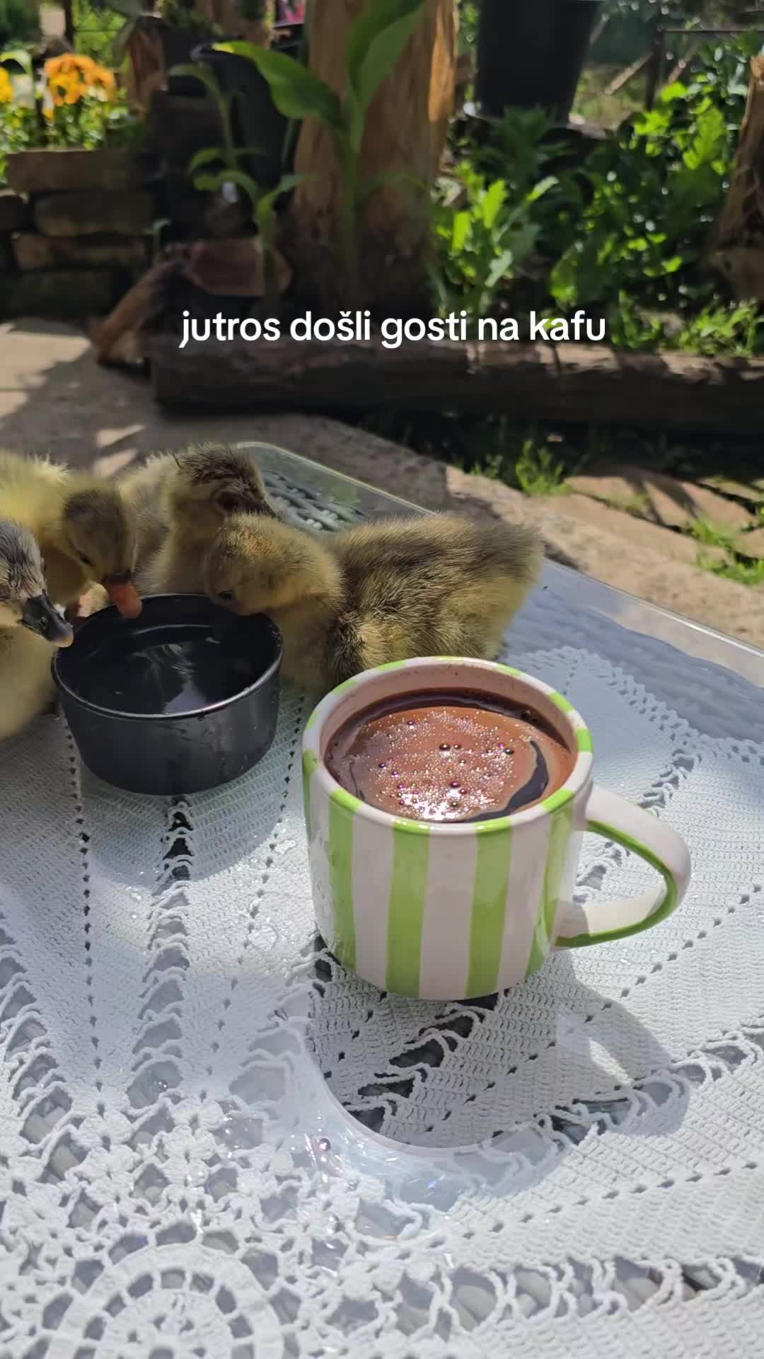 @patkograd