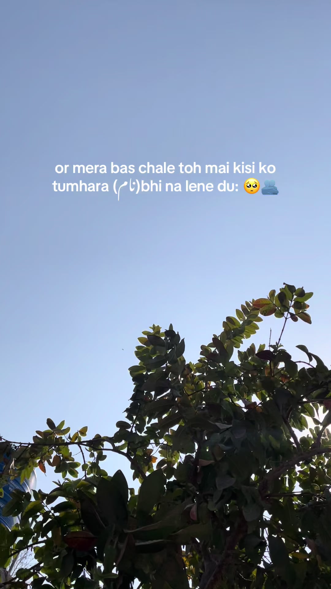 @Hamid Ali khan