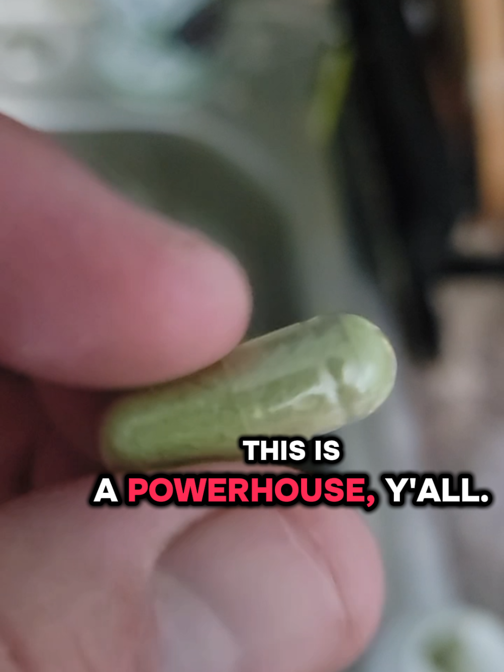@JoeWavez🌿