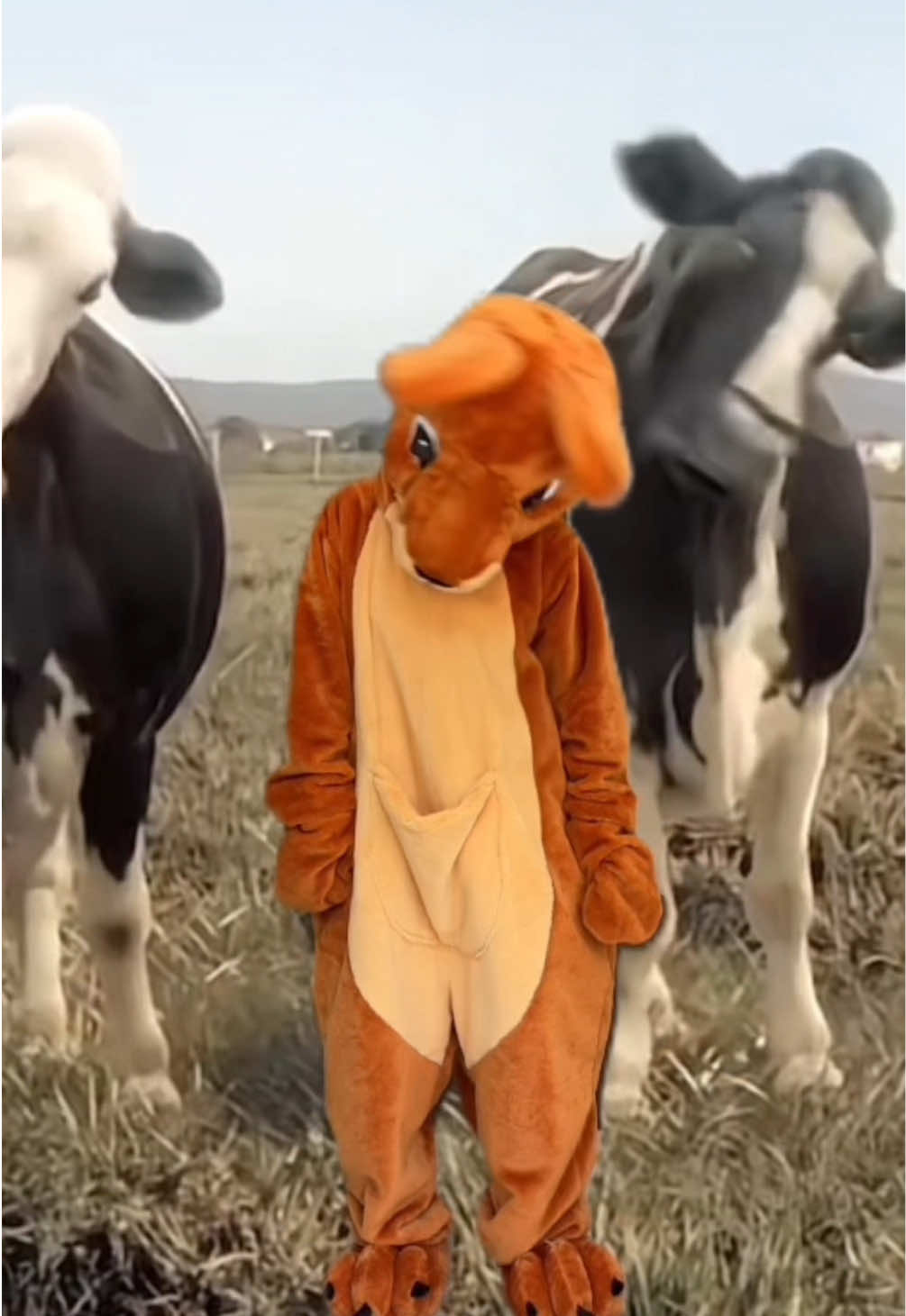 @KangarooHanger