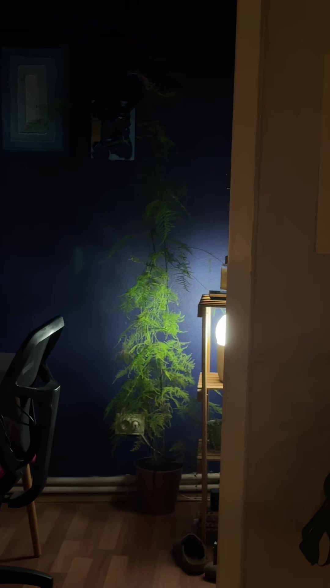 @cigdemover