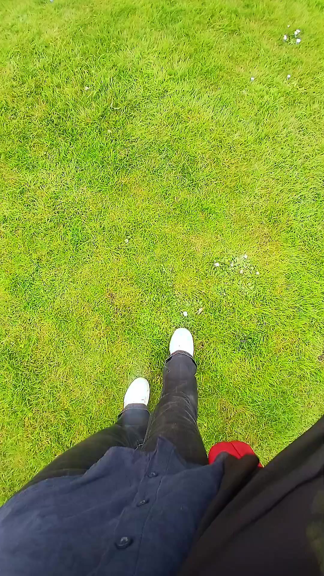 @★&bull;&deg;&bull;𝐒𝐞𝐭𝐚𝐫𝐞&bull;&deg;&bull;★