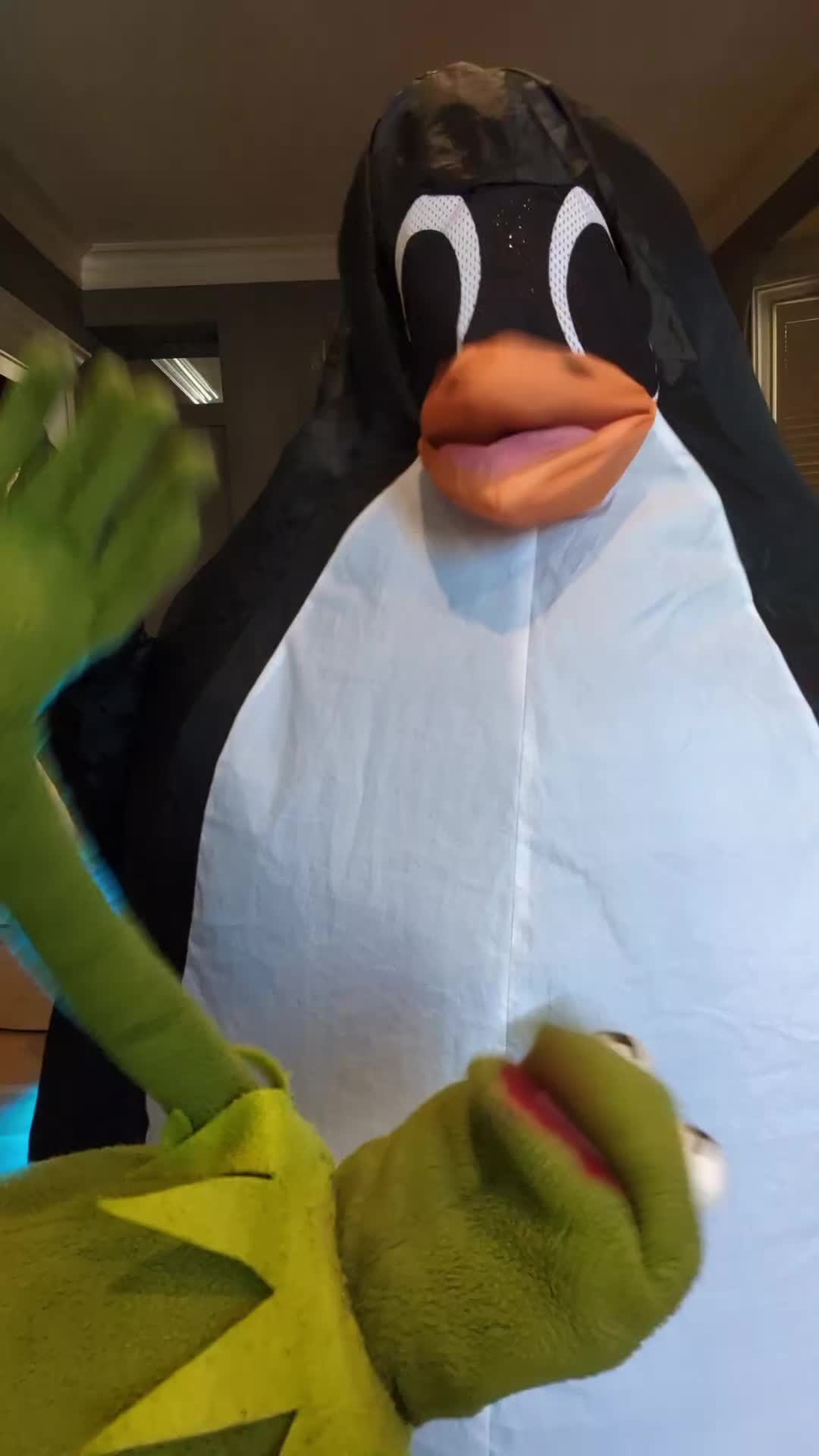 @Flipper