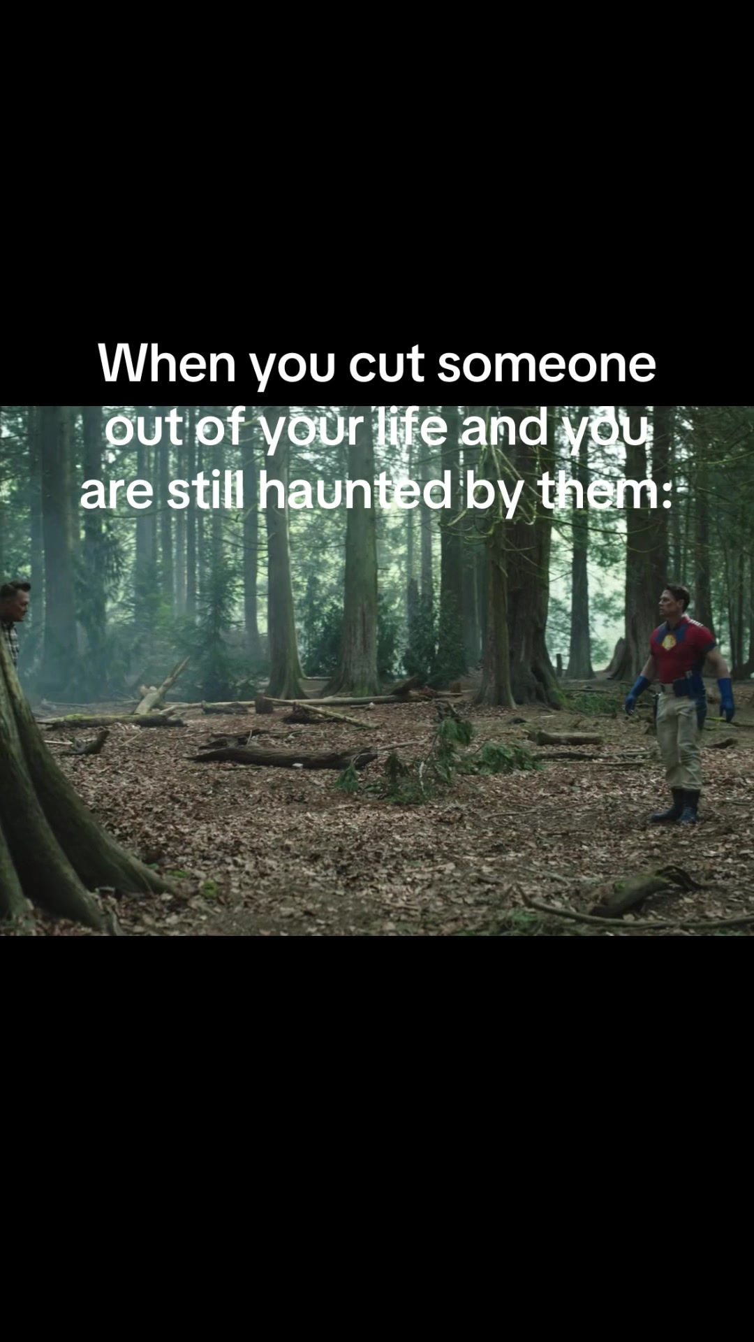 @Vistathesequel