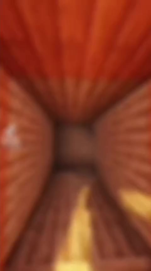 @๐ธ§๐ฉ๐๐๐๐ช§๐ค