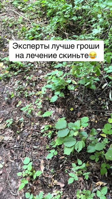 @🇧🇾Денис Занкевич🇧🇾Brest😎