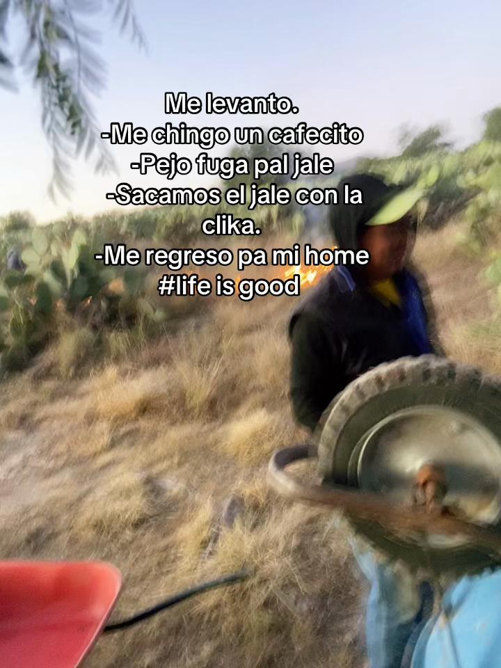 @M.V