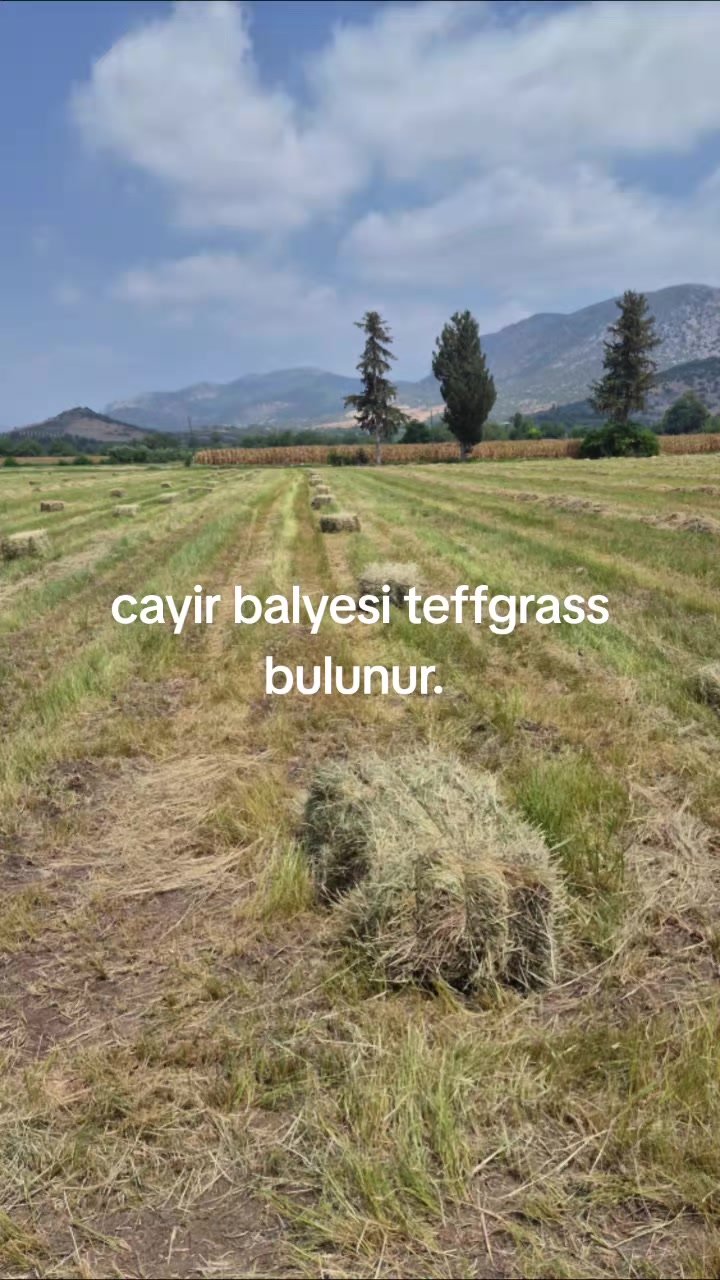 @ZİR.MÜH.BERKAN KILINÇ