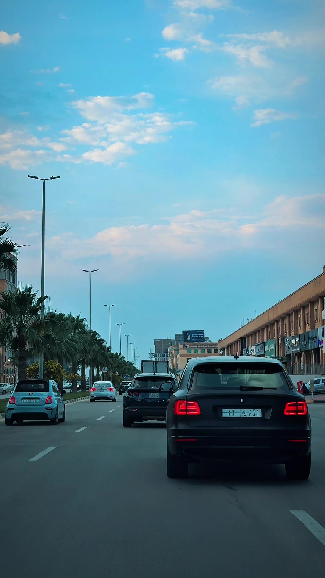 @Ismail Shafi🇸🇦