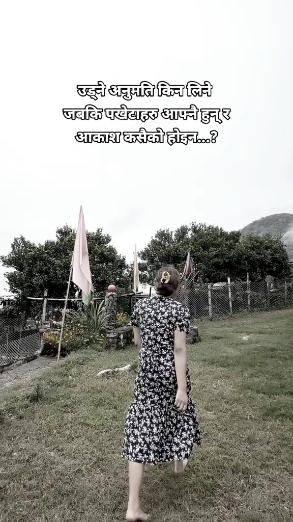 @🐧