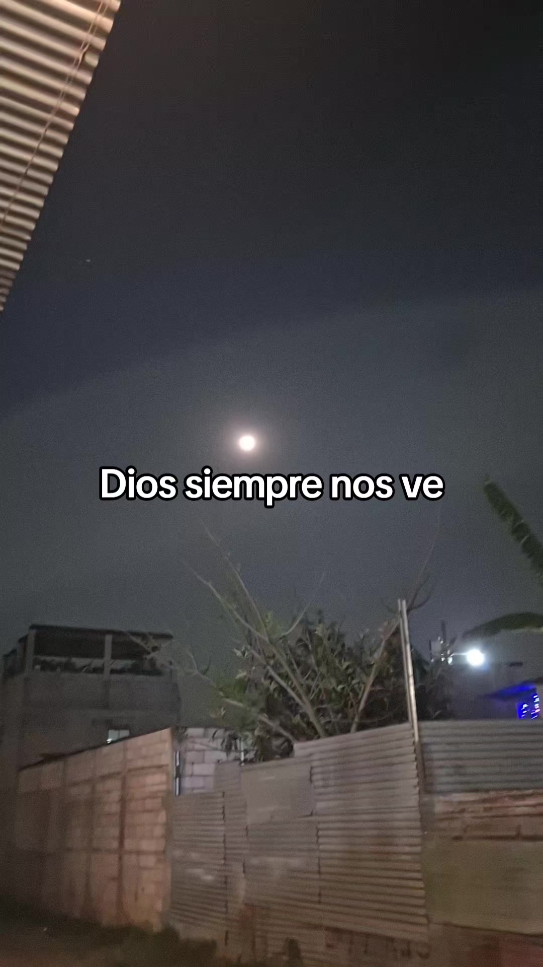 @Ani Lopez