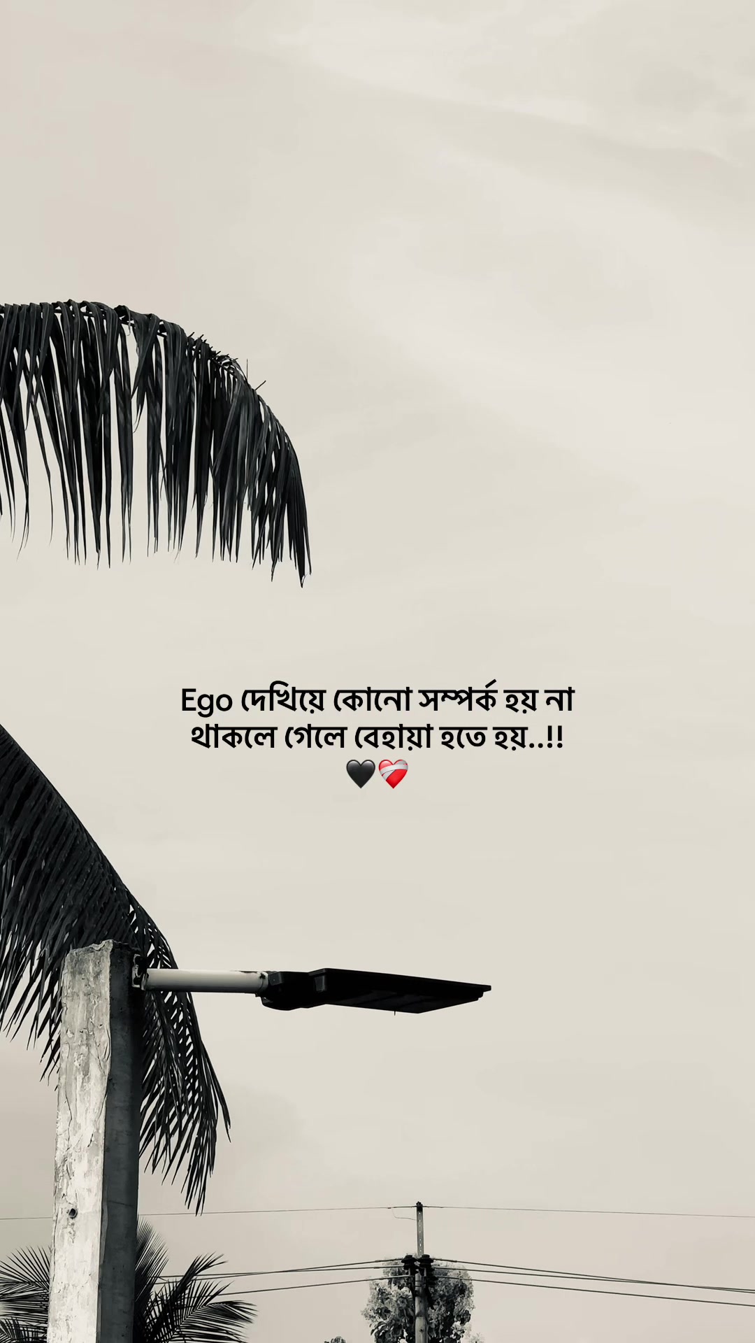 @S_A_Y_M_O_NđĨ°SAMMIHAđĨ°
