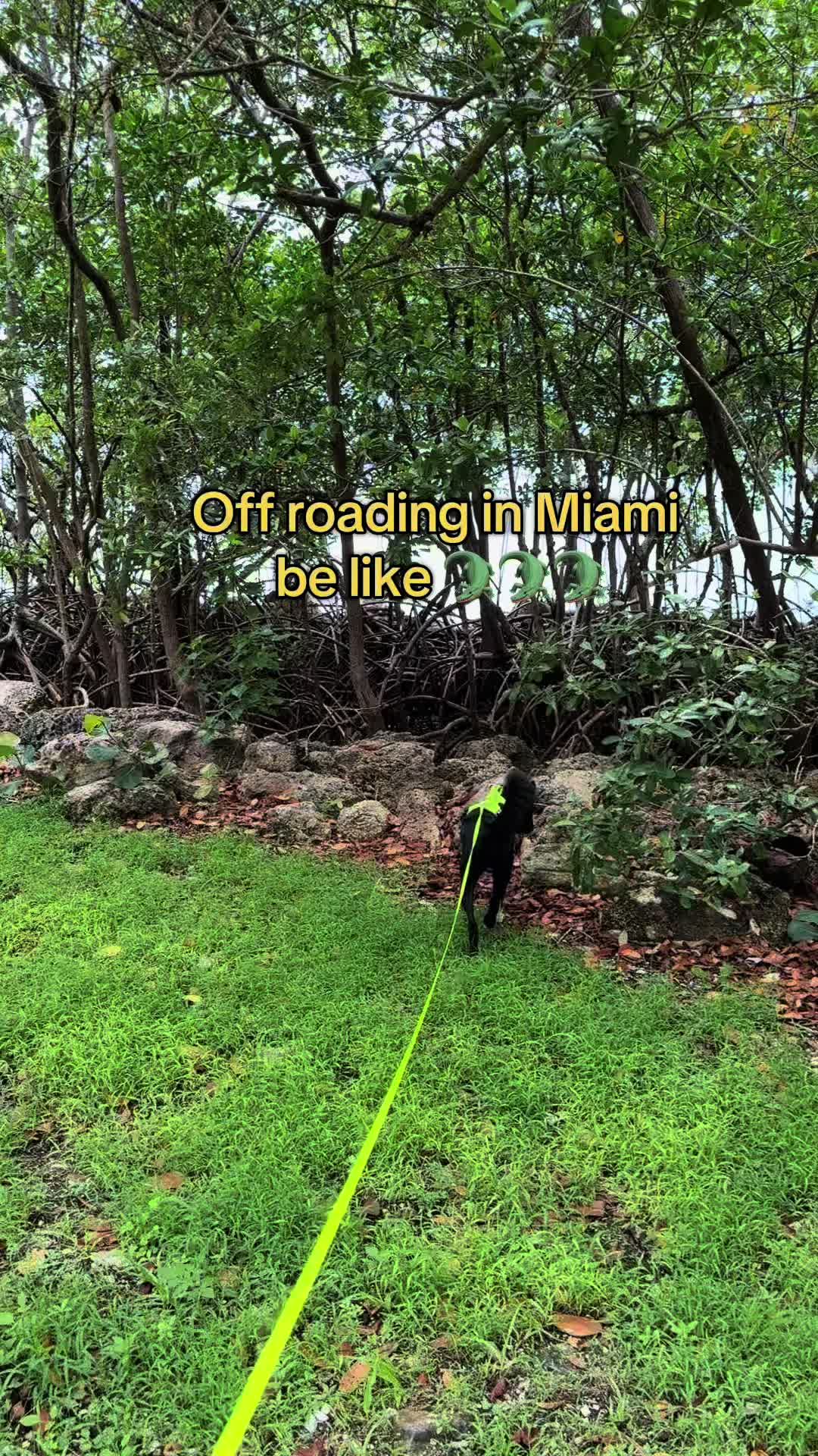 @WalkTheBorderline
