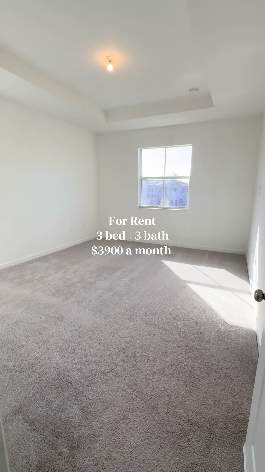 @Celine | South Fl Realtor &reg;️