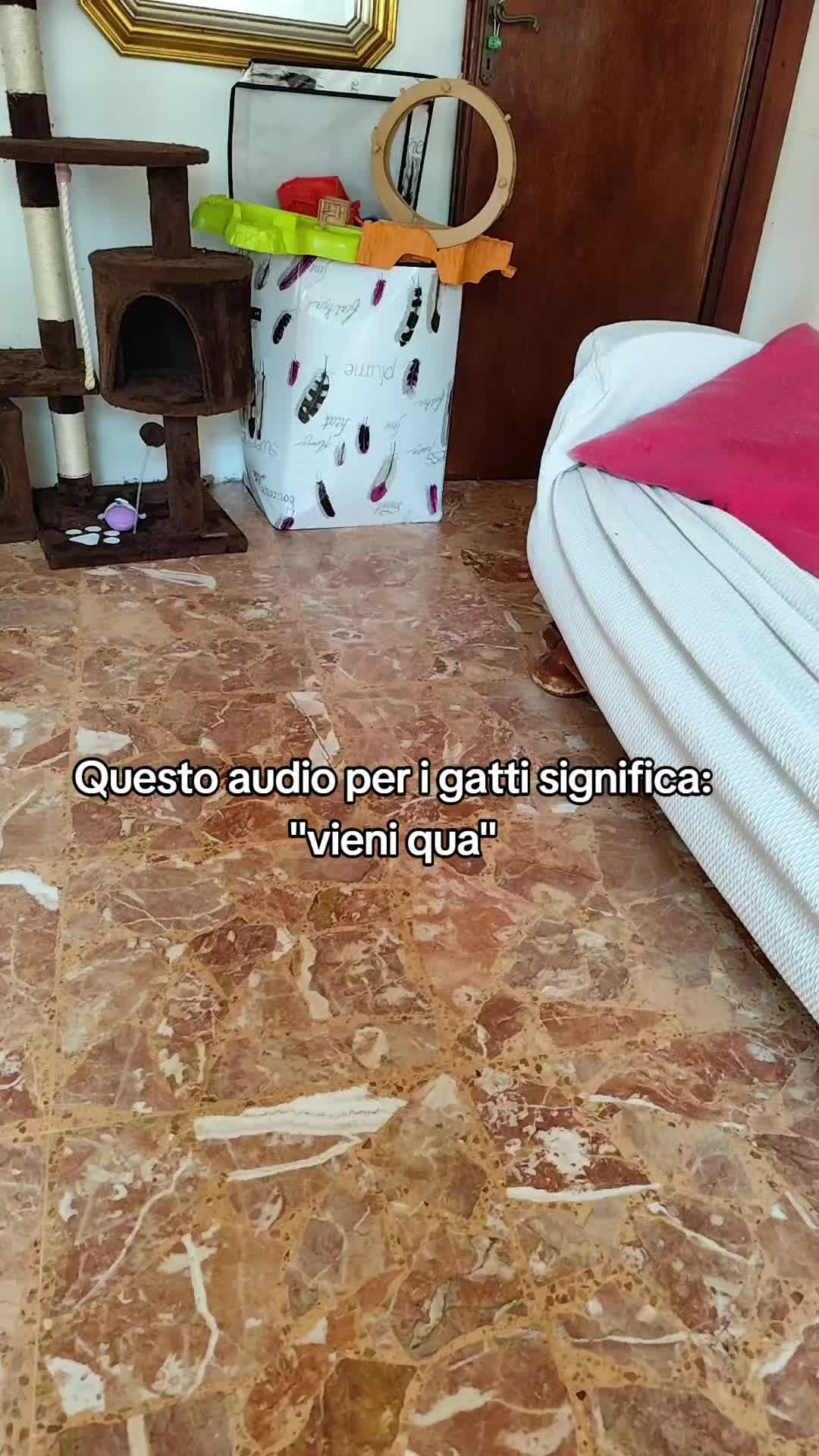 @Verena