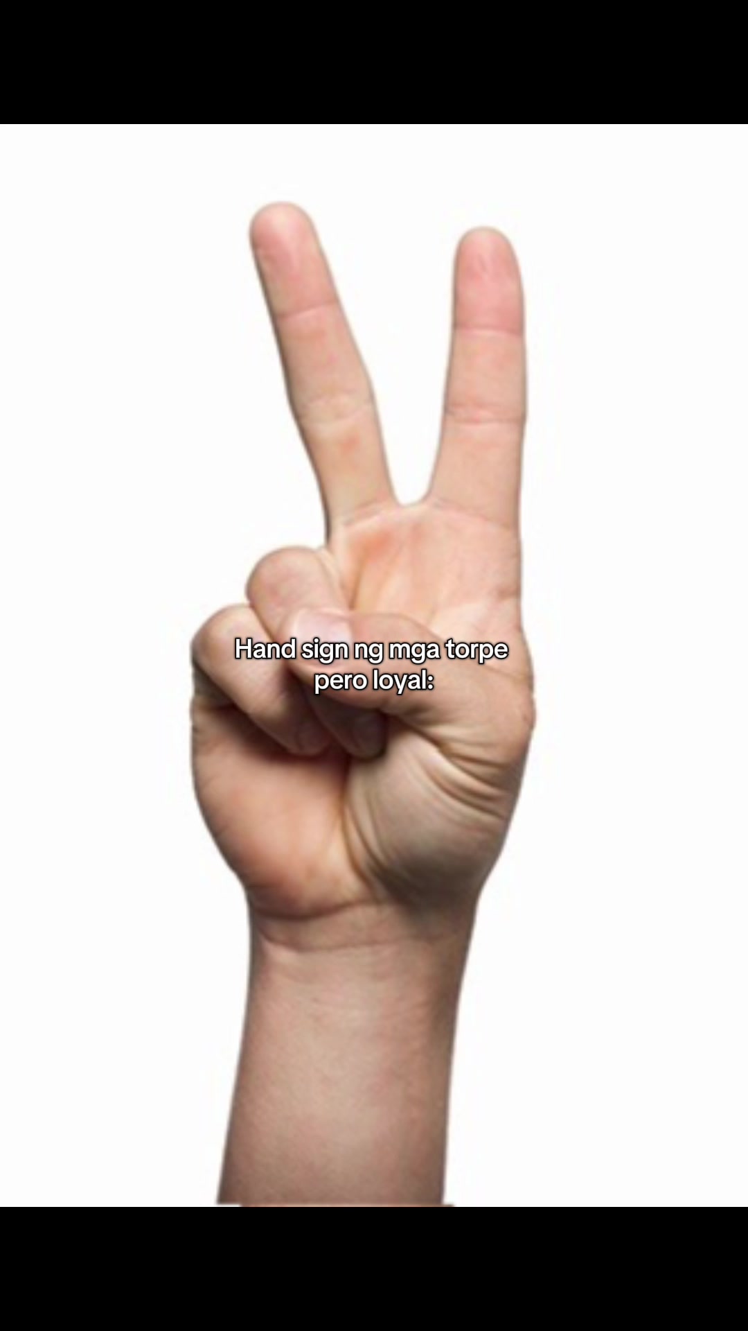 @🪳