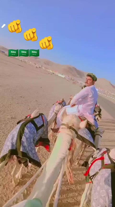 @sajjadalighamber