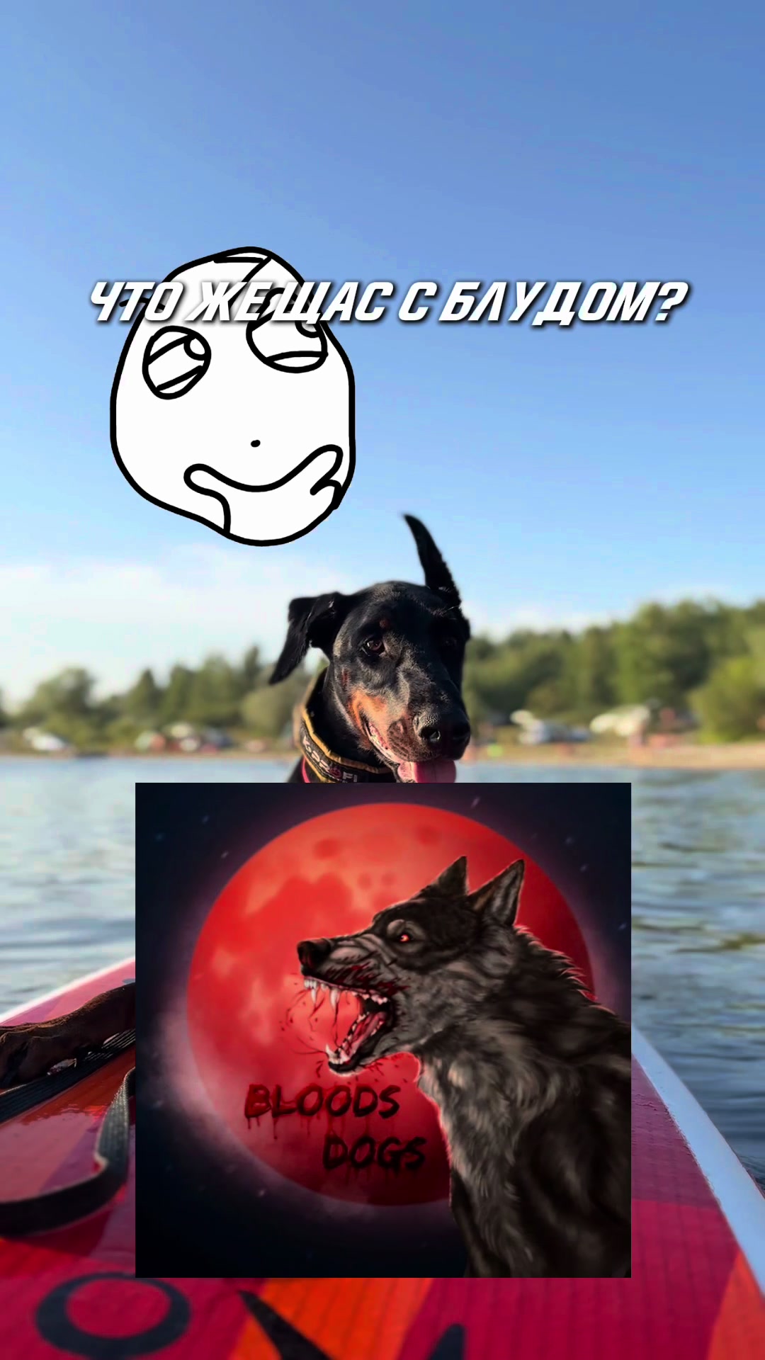 @‼️тг: grandorf‼️